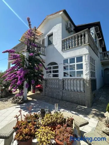 Studios Kranjcec - Image 1