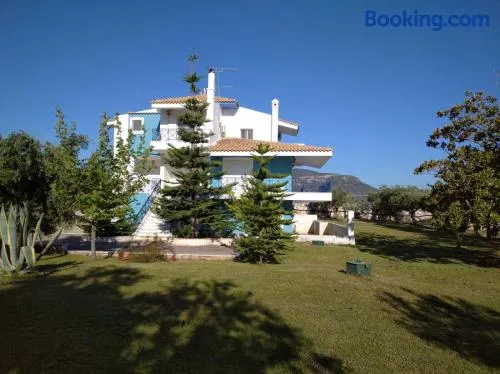 The Blue House - Image 1