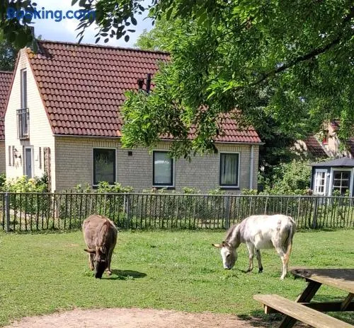 Heerlijke recreatiewoning op een geweldige plek - Image 1