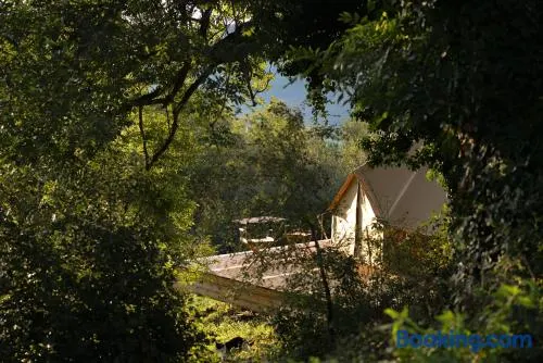 Tente de glamping avec piscine - Image 1