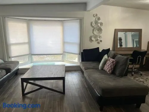 Artsy Oasis in Clearwater - Image 1
