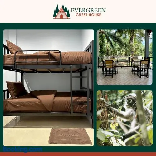 Evergreen Guest House - Image 1