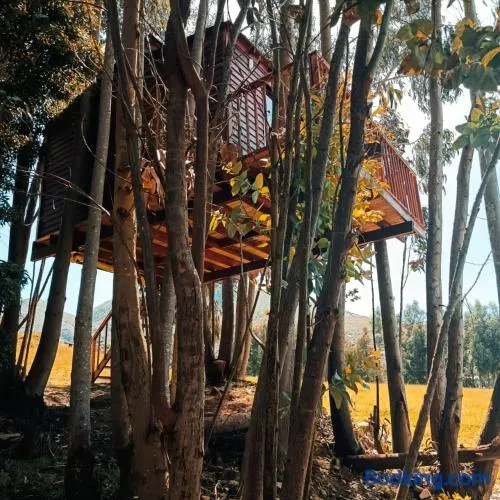 Casa en el Árbol Guatavita - Image 1