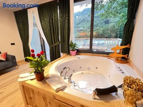 Ayder Vip River - Image 1