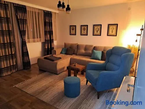 Hedonic apartment - Image 1