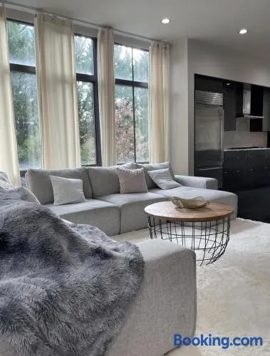 Lux Atlanta Home with Arcade room - Image 1