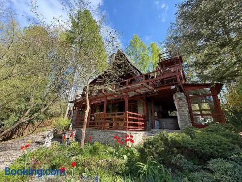 Bizo House - JACUZZI I SAUNA - Image 1