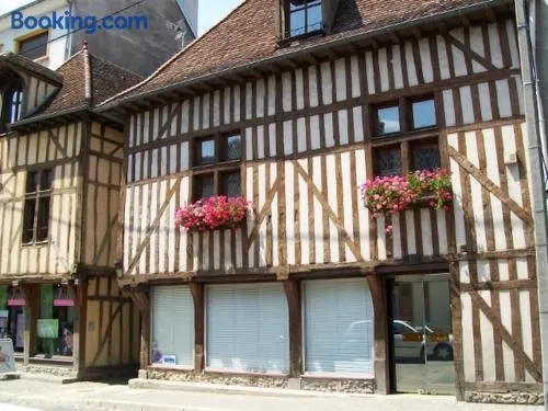 Le Clos Saint Nizier Troyes - Cathédrale- PARKING - WIFI - Image 1
