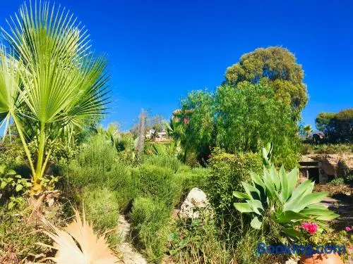 Tenerife Nature Retreat - Image 1