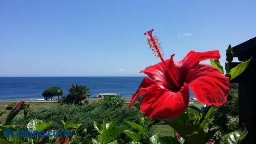 Sogno sul mare - Image 1