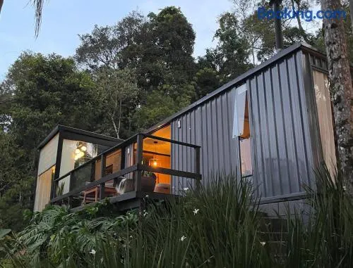 Vale Dos Pinheiros - Image 1