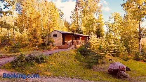 Buddas Home - Image 1