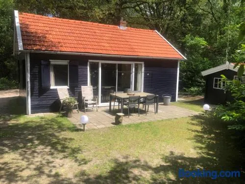 Vakantiehuis De Veldhoen vrijgelegen nabij de rivier de Vecht - Image 1