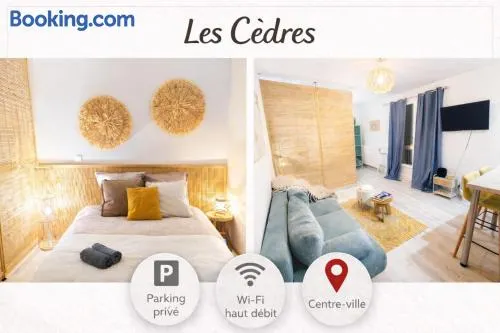 Grand studio - clim mobile et ventilateur - parking - Image 1