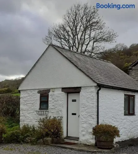 Y Llew Bach, the tiny house - Image 1