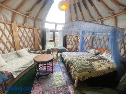 Unique Mongolian Yurt near lake together with guest house - Image 1