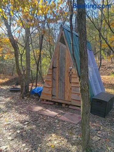 Mountain view camps - Image 1