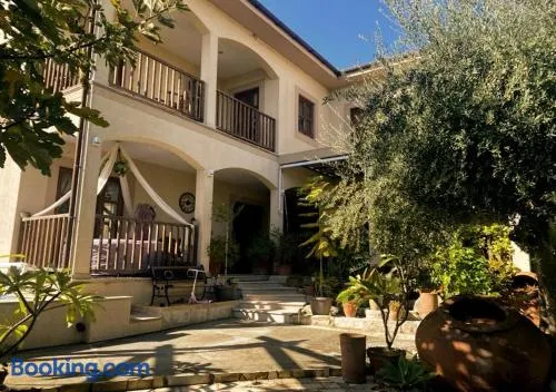 Olive Tree House - Image 1