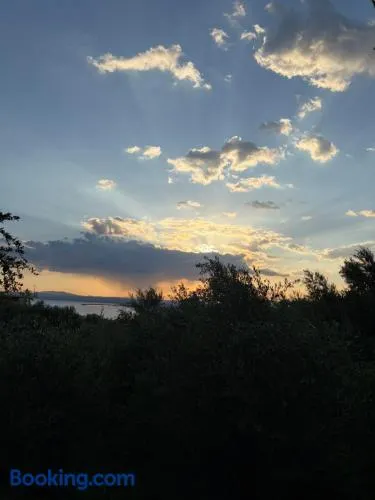 Verga Olive Grove Studio - Image 1