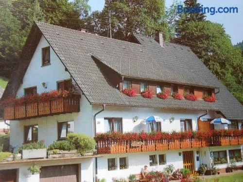 Gästehaus Schoch-Bächle - Image 1