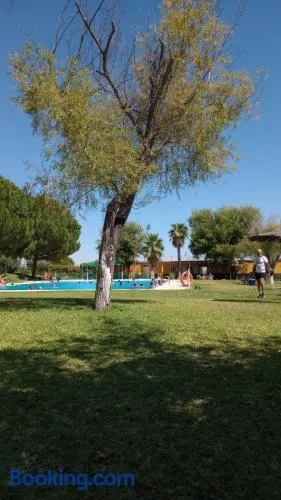 El laurel y el limonero. - Image 1
