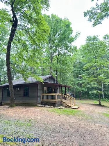 Peaceful, cozy cabin in the woods - Image 1