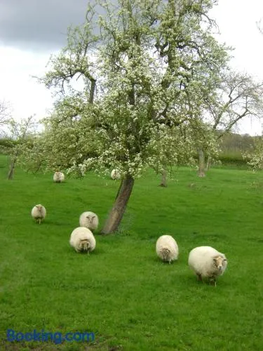 Hoeve Schevey - Image 1