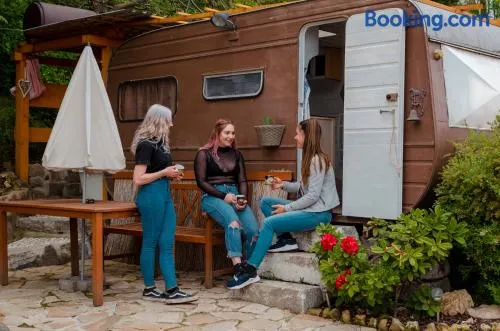 Cozy caravan next to minizoo - Image 1