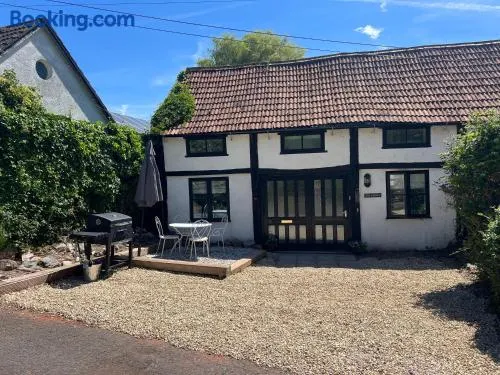 Beautiful Devon Cottage - Image 1
