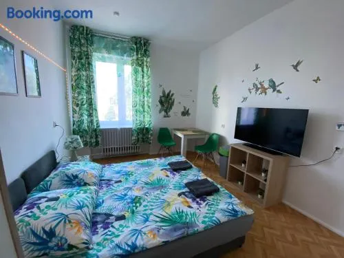 Jungle Rooms - Image 1