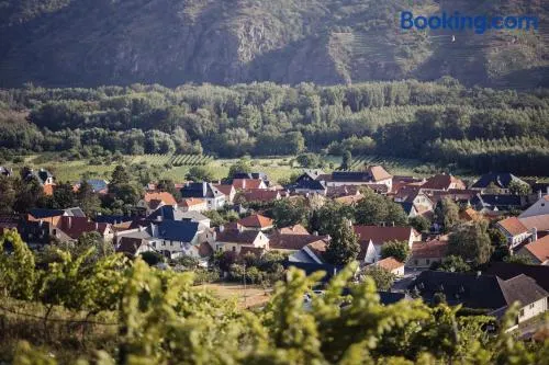 Wachau Supperer - Image 1