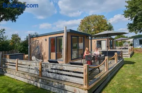 Siblu Camping Meerwijck - Image 1