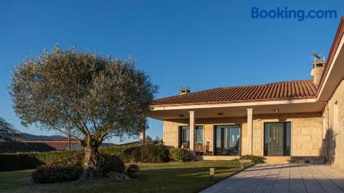Casa dos olivos - Image 1
