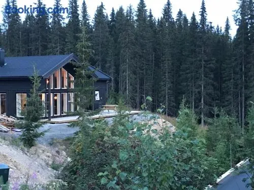 Lillebjørn - Image 1