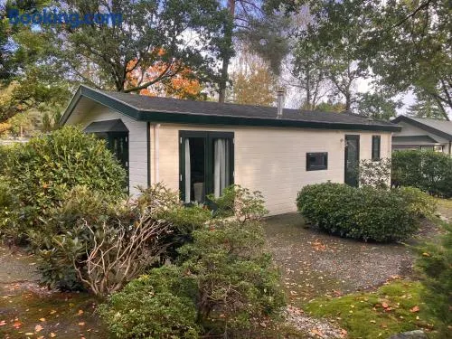 Chalet de Eekhoorn - Het Lierderholt Beekbergen - Image 1