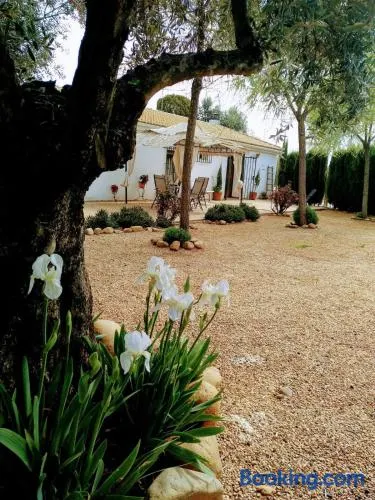 La Casa del Abuelo Jose - Image 1