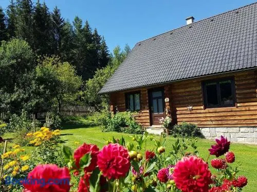 Srub Karpatský - Image 1