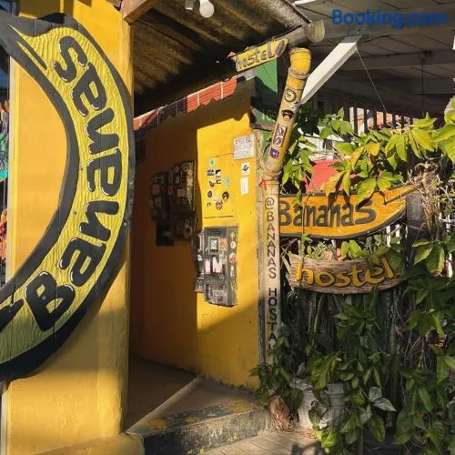 BANANAS HOSTEL - Image 1