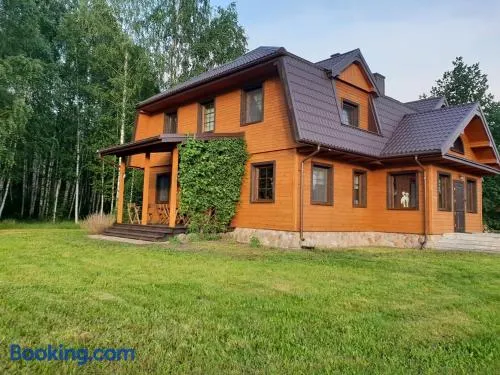 Ciche Podlasie - Image 1
