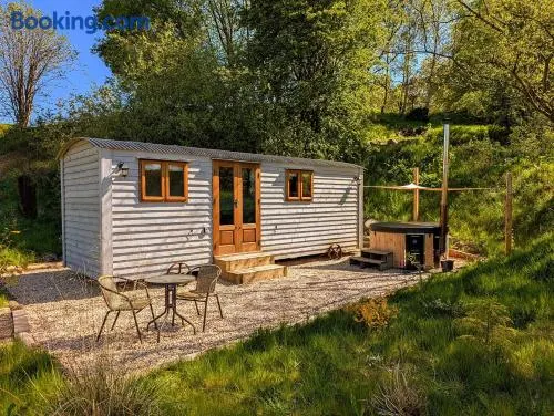 Lintmill Lodges - Bluebell Shepherds Hut - Image 1