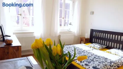 Apartmány u náměstí - Image 1