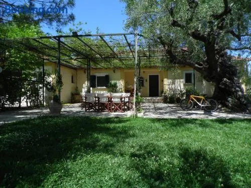 TheNi Olive Grove Villa - Image 1