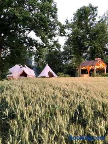 Cowcooning / Family tents - Image 1