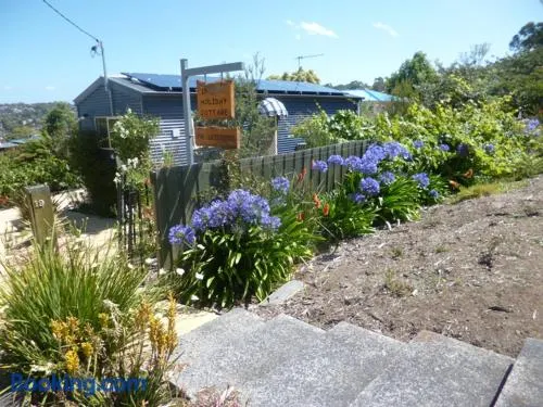 19 Blue - Image 1
