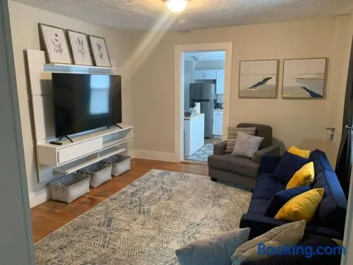 Cozy Cambridge Apt - Image 1
