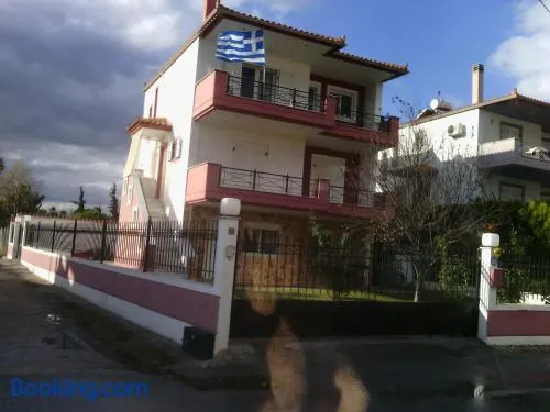 ΙΣΟΓΕΙΟ ΚΑΤΟΙΚΙΑΣ κηπος - Image 1