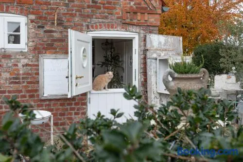 Lille Weiss-KEINE MONTEURE- - Image 1