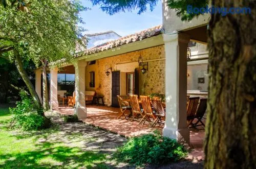 El huerto de Candeleda - Image 1