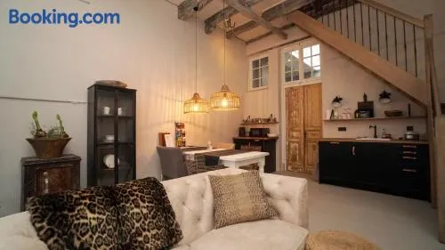 Cosy Cityhouse Leeuwarden - Image 1