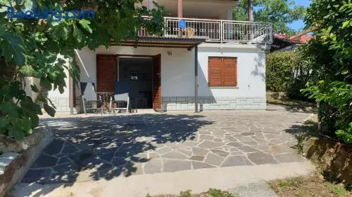 Zest Apartment - Image 1